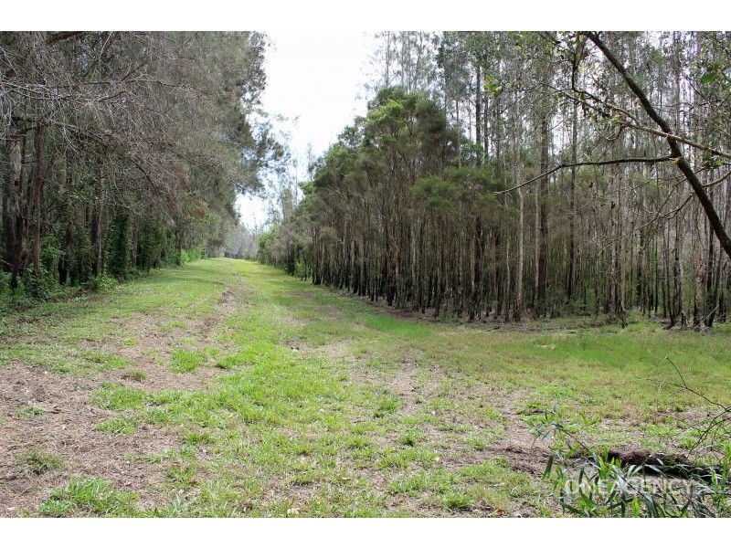 1333 Maria River Road, Crescent Head NSW 2440