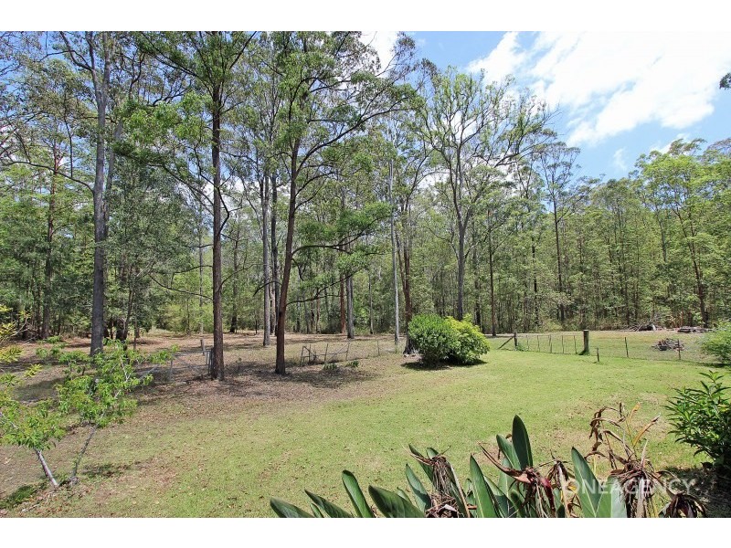 49 Brushbox Crescent, Yarravel NSW 2440