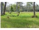 2 Silverwood Avenue, Temagog NSW 2440