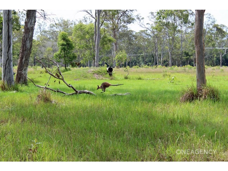 2 Silverwood Avenue, Temagog NSW 2440