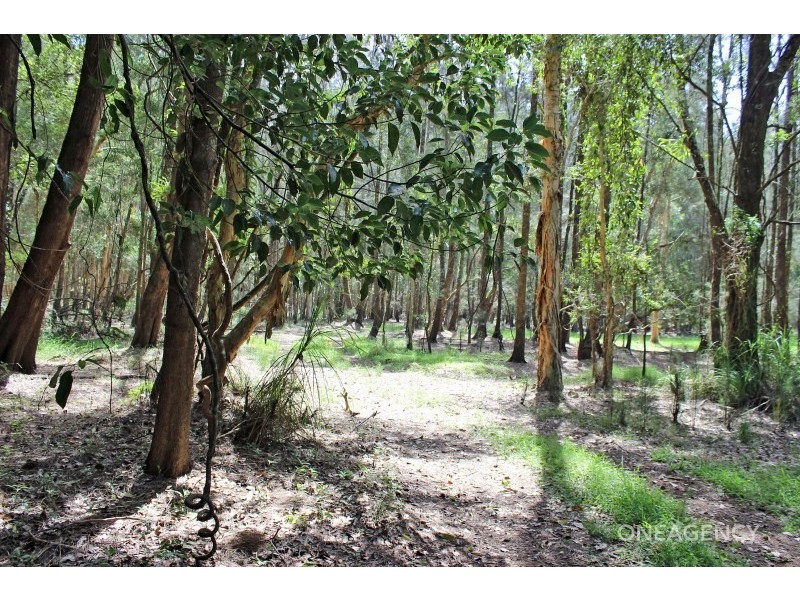 Lot 101, Maria River Road, Crescent Head NSW 2440