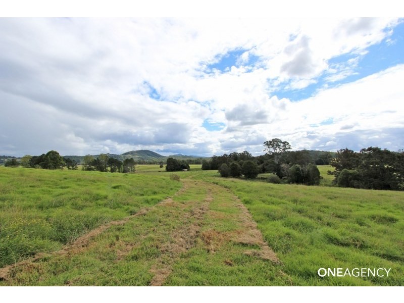 112 Dondingalong Road, Dondingalong NSW 2440
