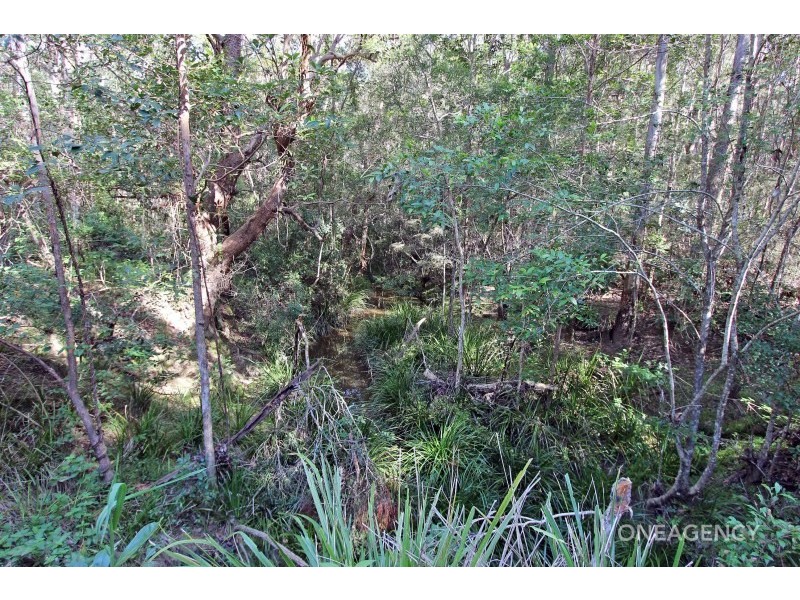 77 Nagles Falls Road, Sherwood NSW 2440