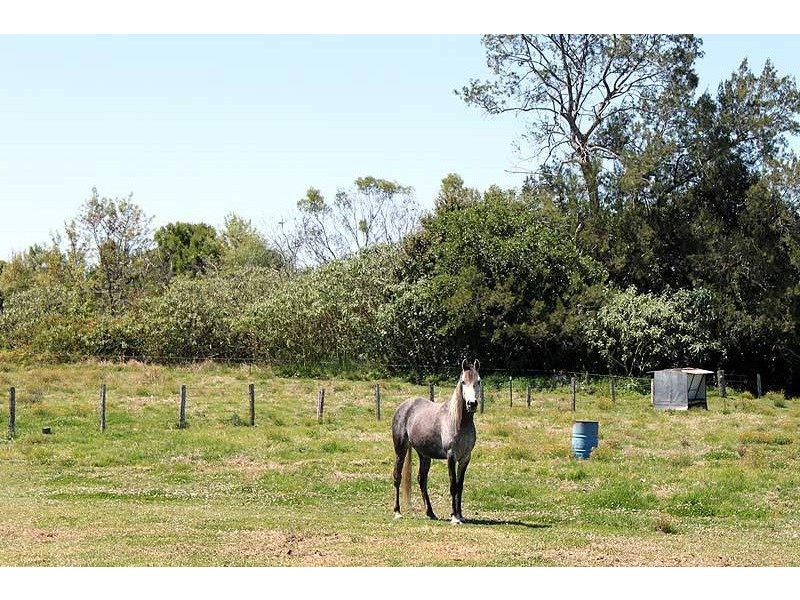 9 Giblin Place, Dondingalong NSW 2440