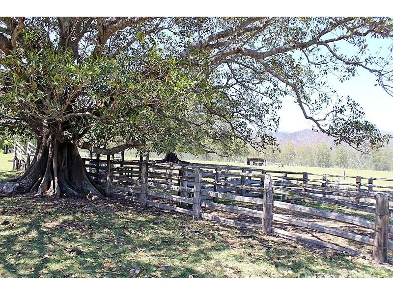 8493 Armidale/Kempsey Road, Comara NSW 2440