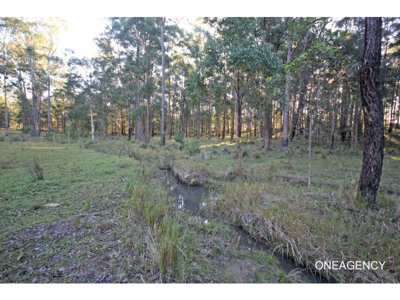 Lot 3 Spooners Avenue, Collombatti NSW 2440