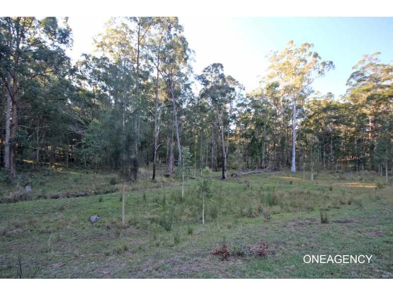 Lot 3 Spooners Avenue, Collombatti NSW 2440