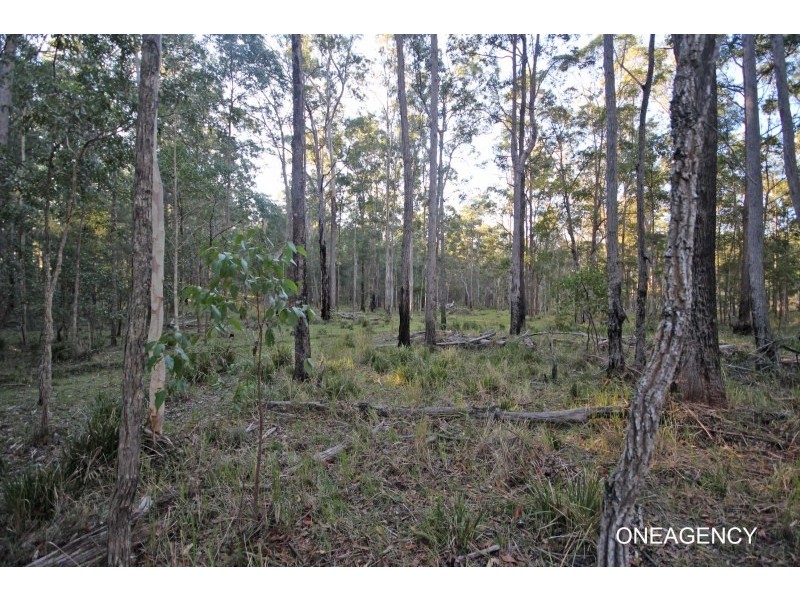 Lot 3 Spooners Avenue, Collombatti NSW 2440
