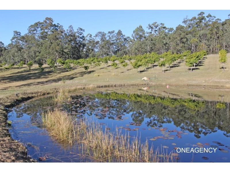 858 Temagog Road, Temagog NSW 2440