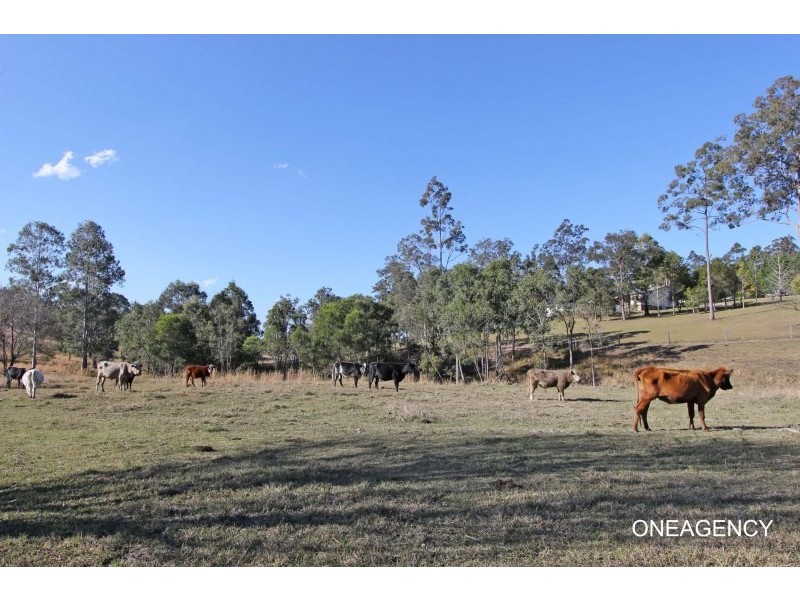 858 Temagog Road, Temagog NSW 2440