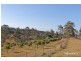 858 Temagog Road, Temagog NSW 2440