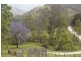 Lower Creek NSW 2440