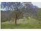 Lower Creek NSW 2440