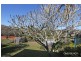 57 Lord Street, East Kempsey NSW 2440