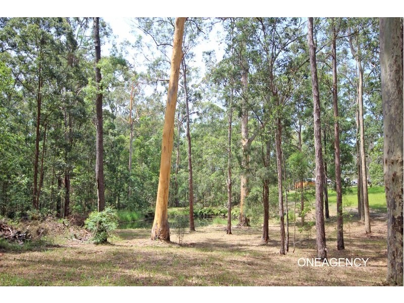 35 Ironbark Crescent, Yarravel NSW 2440