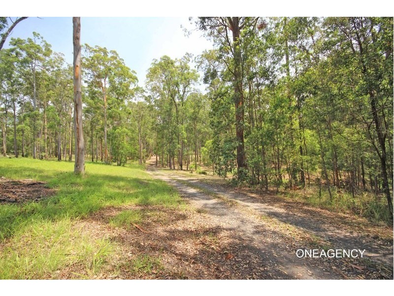 35 Ironbark Crescent, Yarravel NSW 2440