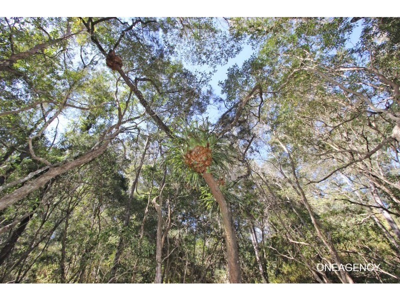 417 Pipers Creek Road, Dondingalong NSW 2440