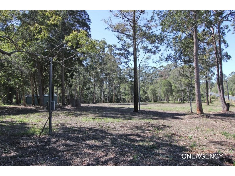 53 Sherwood Road, Aldavilla NSW 2440