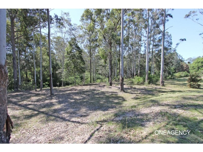 111 Sherwood Road, Aldavilla NSW 2440