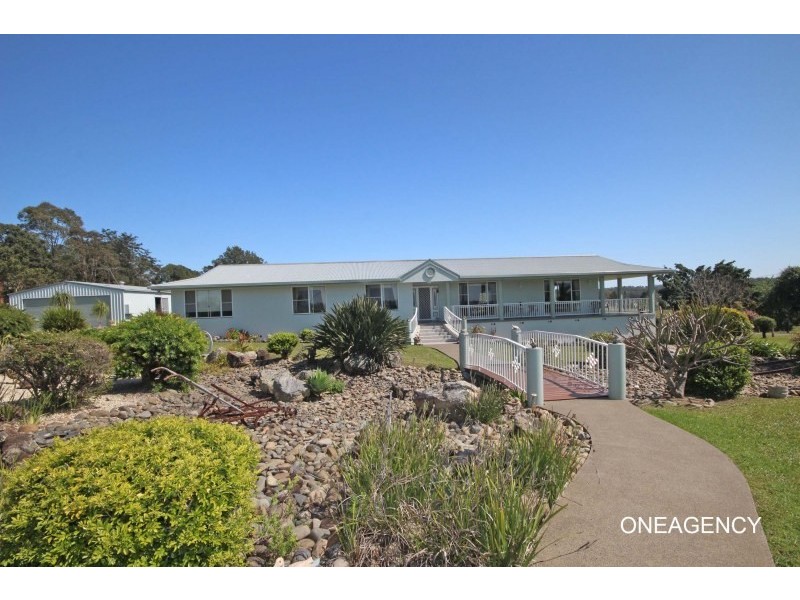 4 Cecil Tarrant Drive, Aldavilla NSW 2440