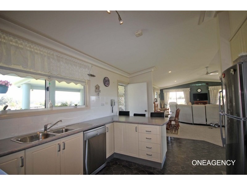 4 Cecil Tarrant Drive, Aldavilla NSW 2440