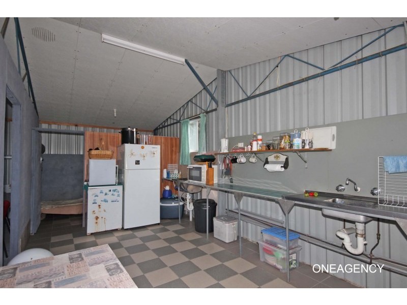 4 Cecil Tarrant Drive, Aldavilla NSW 2440