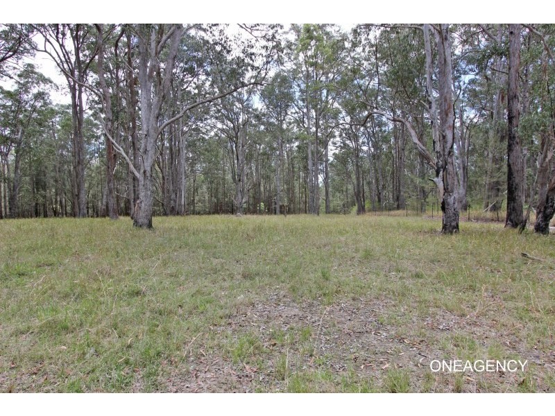 460 Chain O Ponds Road, Collombatti NSW 2440