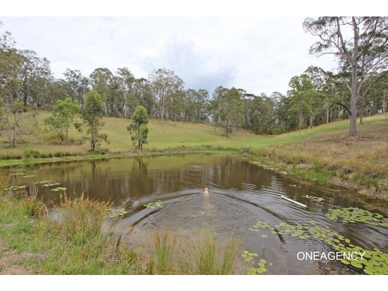 1162 Willi Willi Road, Temagog NSW 2440