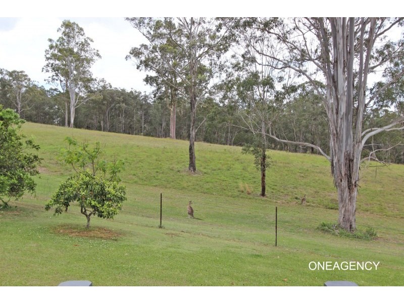1162 Willi Willi Road, Temagog NSW 2440