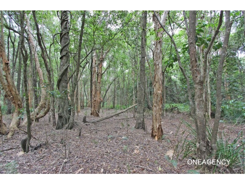 634 Point Plomer Road, Crescent Head NSW 2440