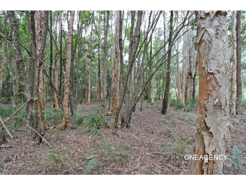 634 Point Plomer Road, Crescent Head NSW 2440