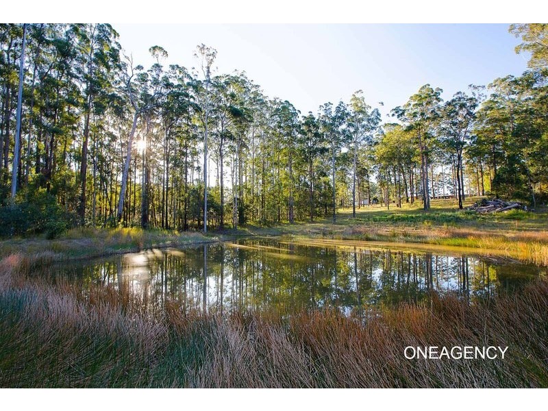 59 Lilli Pilli Road, Kundabung NSW 2441