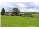 117 Hallelujah Drive, Collombatti NSW 2440