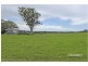 117 Hallelujah Drive, Collombatti NSW 2440