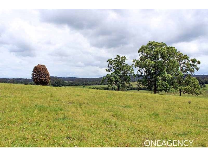 117 Hallelujah Drive, Collombatti NSW 2440