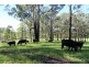 Lot 30 Chain O Ponds Road, Collombatti NSW 2440