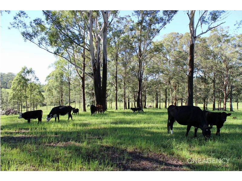 Lot 30 Chain O Ponds Road, Collombatti NSW 2440