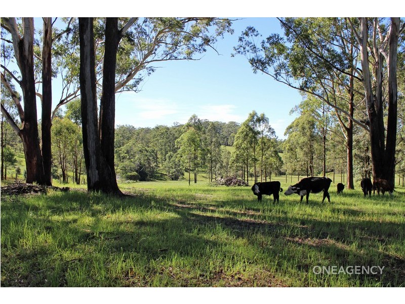 Lot 30 Chain O Ponds Road, Collombatti NSW 2440