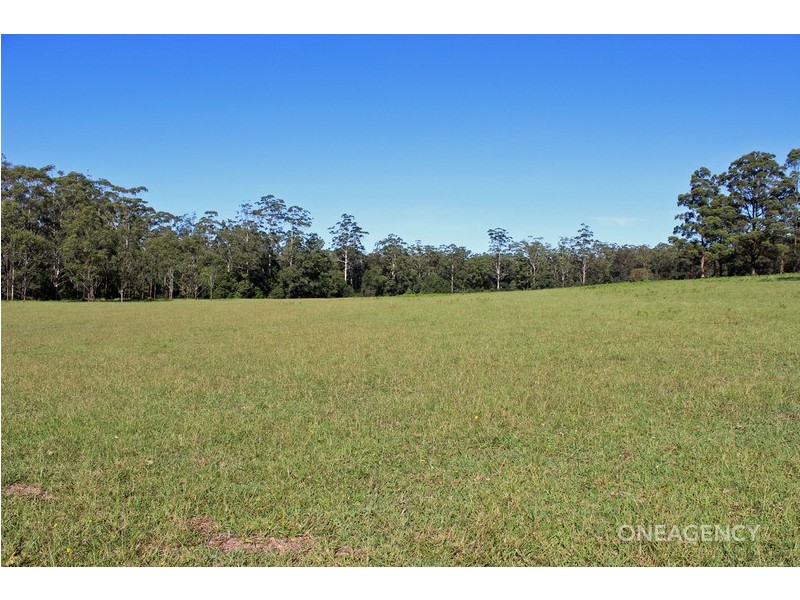 Lot 30 Chain O Ponds Road, Collombatti NSW 2440