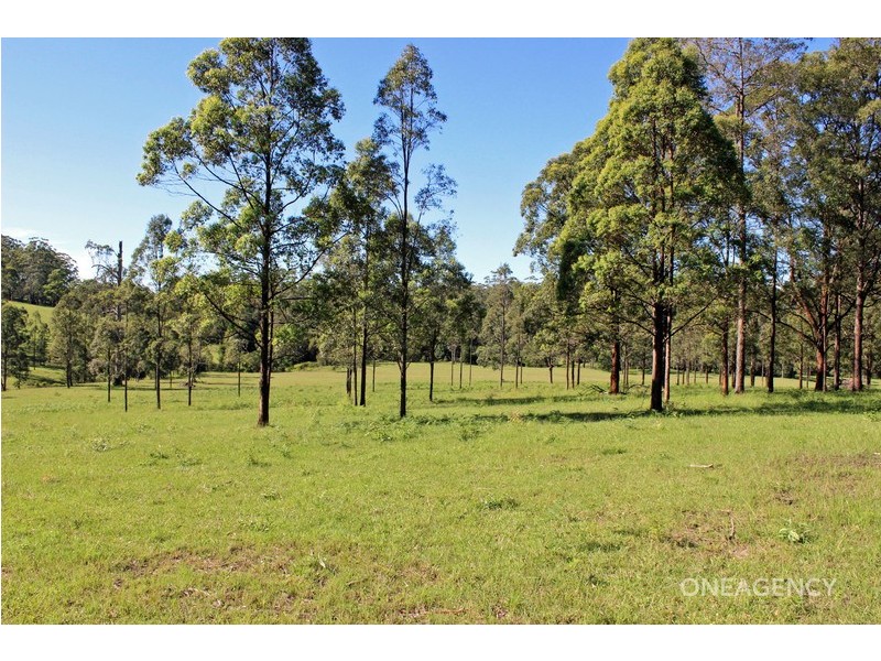 Lot 30 Chain O Ponds Road, Collombatti NSW 2440