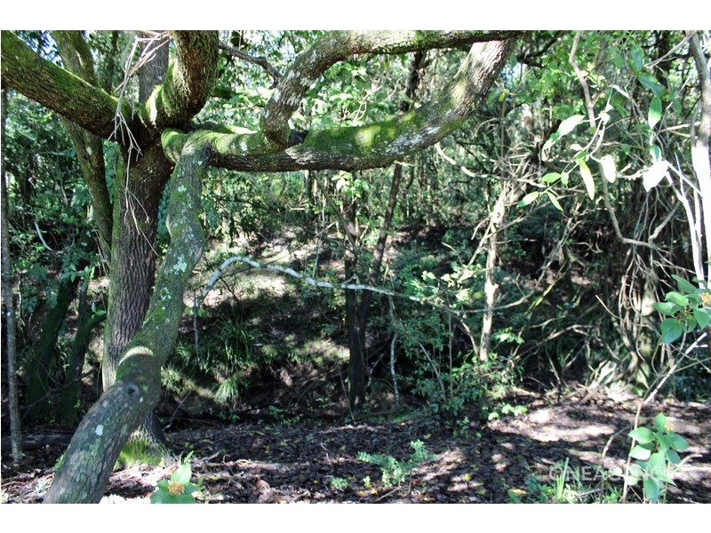 Lot 30 Chain O Ponds Road, Collombatti NSW 2440