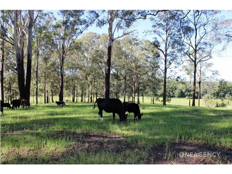 Lot 30 Chain O Ponds Road, Collombatti NSW 2440
