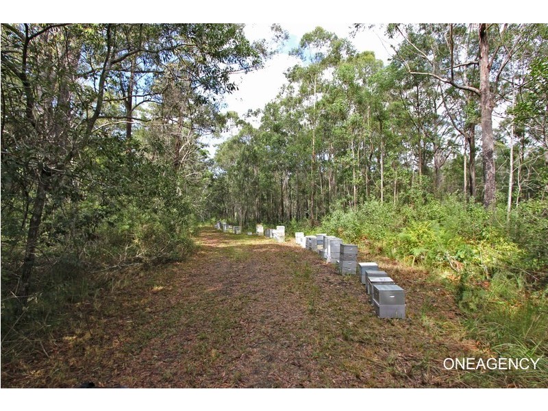 1439 Maria River Road, Crescent Head NSW 2440