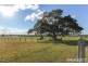 230 Euroka Road, Euroka NSW 2440
