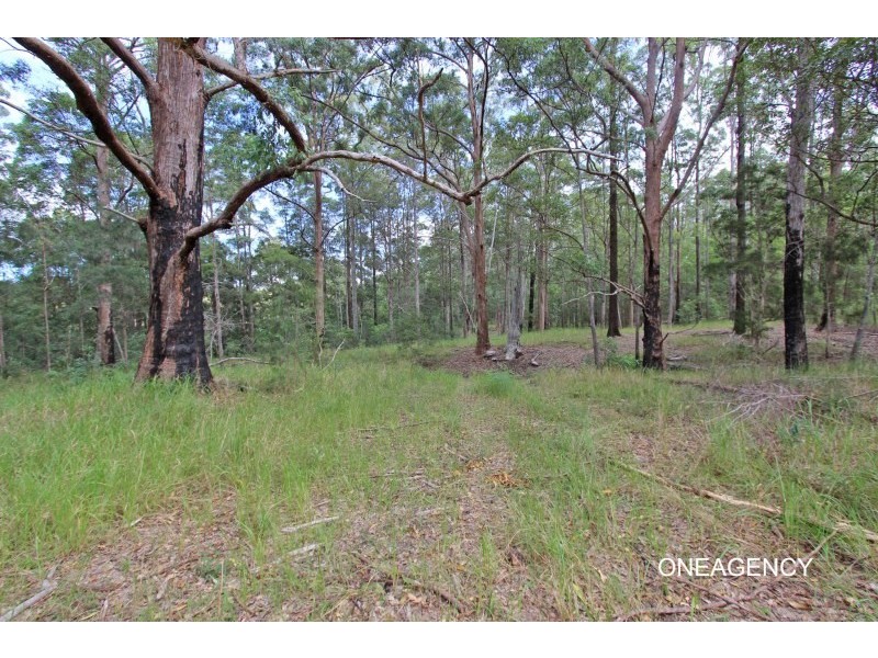 Armidale Road, Yarravel NSW 2440