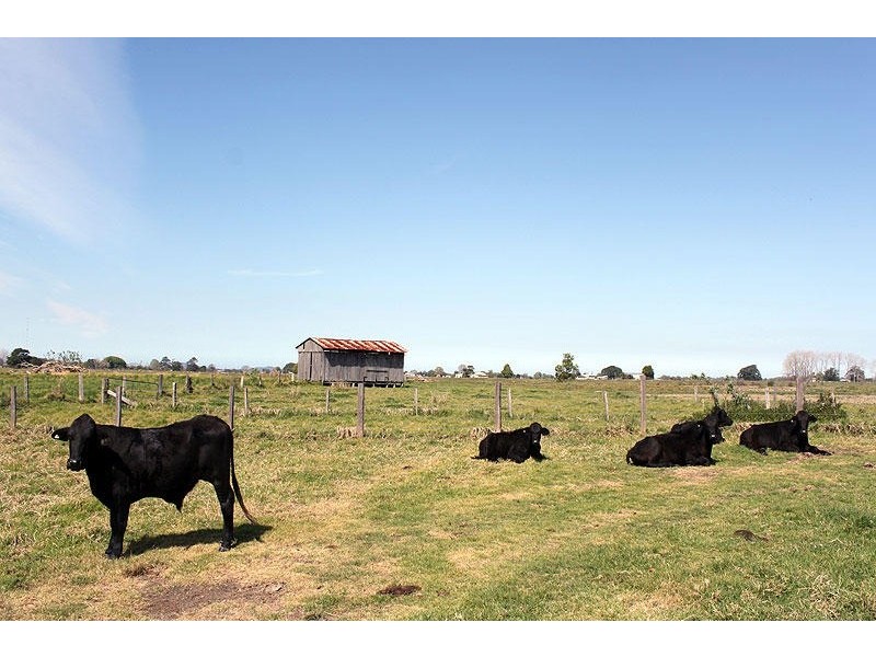 1314 Pacific Highway, Bellimbopinni NSW 2440