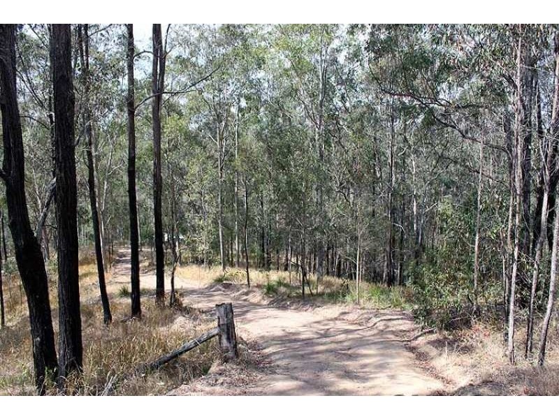 3142 Armidale Road, Hickeys Creek NSW 2440