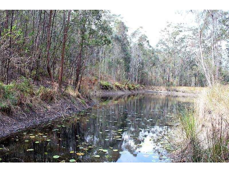 3142 Armidale Road, Hickeys Creek NSW 2440