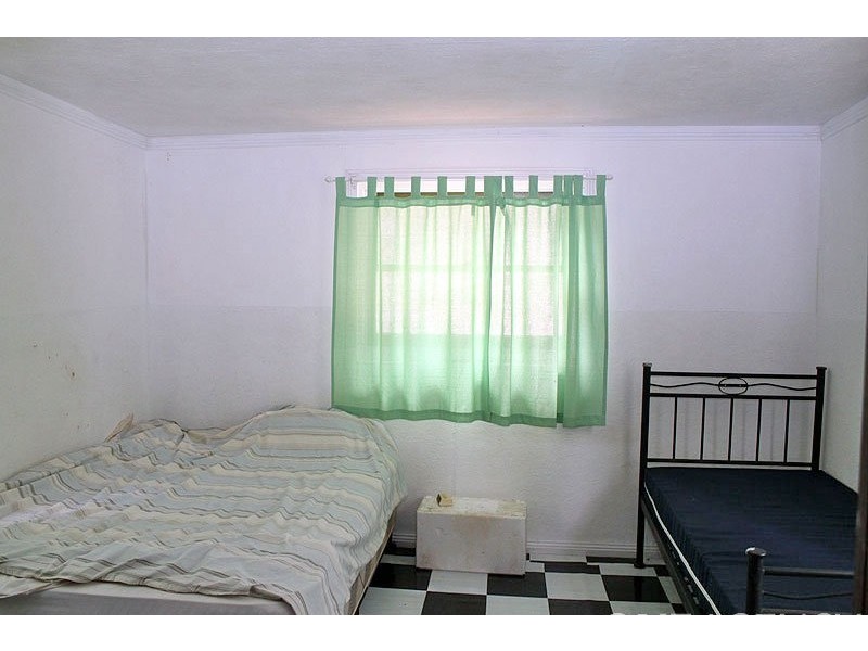 3142 Armidale Road, Hickeys Creek NSW 2440