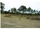 33 Marlin Circuit, Hat Head NSW 2440